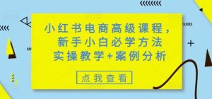 小红书电商高级课程，新手小白必学方法，实操教学+案例分析-泰戈创艺资源库