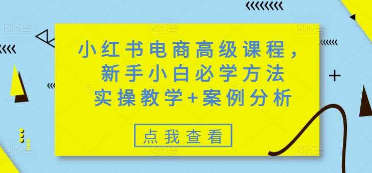 小红书电商高级课程，新手小白必学方法，实操教学+案例分析-泰戈创艺资源库