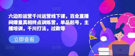 六边形运营千川运营线下课，百业直播间爆量真相终点训练营，单品起号，主播培训，千川打法，过款等-泰戈创艺资源库