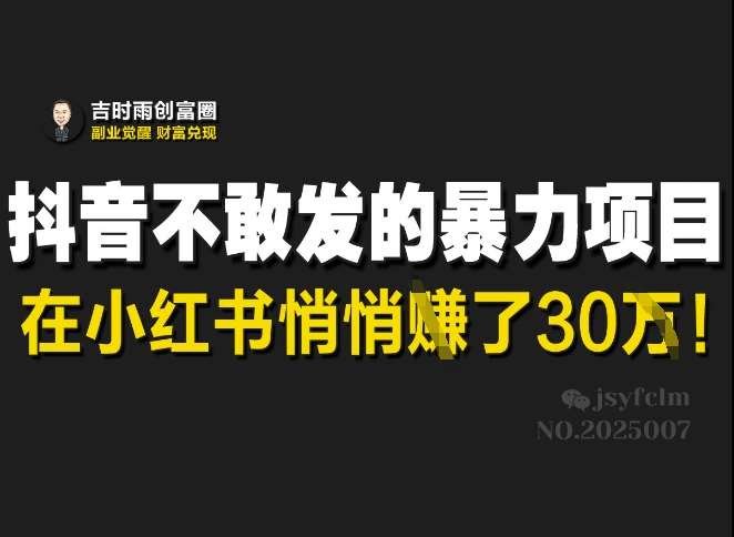 抖音不敢发的暴利项目，在小红书悄悄挣了30W-泰戈创艺资源库