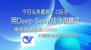 （14117期）今日头条最新2.0版本，用Deep Seek结合今日头条做爆文，单日收益轻松10…-泰戈创艺资源库