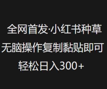 全网首发，小红书种草无脑操作，复制黏贴即可，轻松日入3张-泰戈创艺资源库