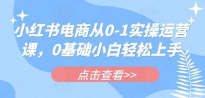 小红书电商从0-1实操运营课，0基础小白轻松上手-泰戈创艺资源库