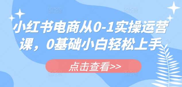 小红书电商从0-1实操运营课，0基础小白轻松上手-泰戈创艺资源库