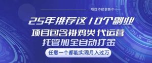 25年推荐这10个副业项目包含褂鸡类、代运营托管类、全自动打金类【揭秘】-泰戈创艺资源库