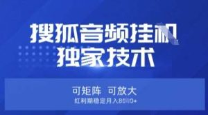 【搜狐音频挂G】独家技术,可矩阵可放大,红利期稳定月入8k【揭秘】-泰戈创艺资源库