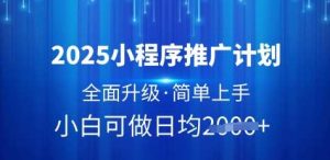 2025小程序推广计划，全面升级，简单上手，日均多张【揭秘】-泰戈创艺资源库