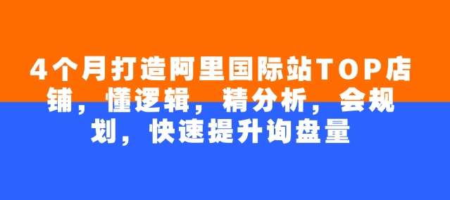 4个月打造阿里国际站TOP店铺，懂逻辑，精分析，会规划，快速提升询盘量-泰戈创艺资源库