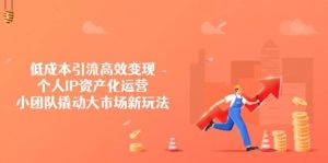 (14555期)低成本引流高效变现,个人IP资产化运营,小团队撬动大市场新玩法-泰戈创艺资源库