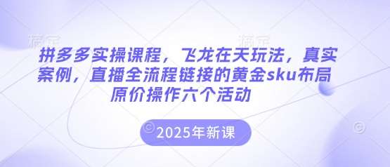 拼多多实操课程，飞龙在天玩法，真实案例，直播全流程链接的黄金sku布局原价操作六个活动-泰戈创艺资源库
