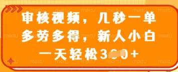 审核视频，几秒一单，多劳多得，新人小白一天轻松3张【揭秘】-泰戈创艺资源库