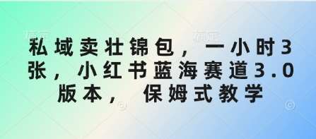 私域卖壮锦包，一小时3张，小红书蓝海赛道3.0版本， 保姆式教学-泰戈创艺资源库