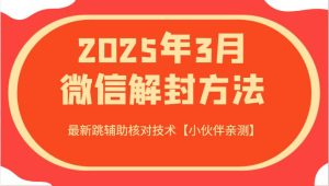 2025年3月微信解封方法 最新跳辅助核对技术【小伙伴亲测】-泰戈创艺资源库