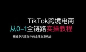 TikTok跨境电商从0-1全链路全方位实操教程，把握多元变化中的全球生意机会-泰戈创艺资源库