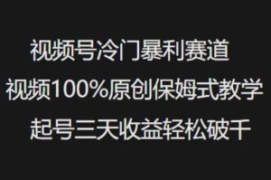 视频号冷门暴利赛道视频100%原创保姆式教学起号三天收益轻松破千-泰戈创艺资源库