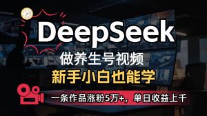 DeepSeek+既梦Ai生成养生视频，5分钟一条，条条爆款，轻松日入300+-泰戈创艺资源库
