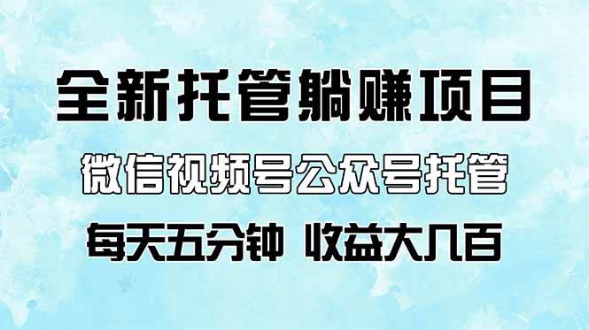 （14425期）全新托管躺赚项目，微信视频号公众号托管代运营，每天五分钟，收益大几百-泰戈创艺资源库