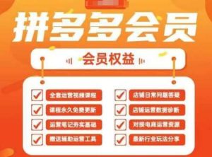 2025拼多多运营实战课,40节全流程教学,覆盖拼多多运营全链路-泰戈创艺资源库