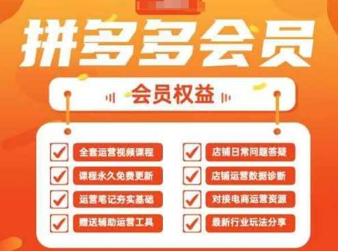 2025拼多多运营实战课，40节全流程教学，覆盖拼多多运营全链路-泰戈创艺资源库