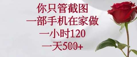 你只管截图，一部手机在家做，苹果安卓都可以，一小时120，一天5张+【揭秘】-泰戈创艺资源库