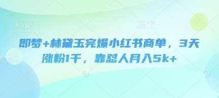 即梦+林黛玉完爆小红书商单，3天涨粉1千，靠怼人月入5k+-泰戈创艺资源库