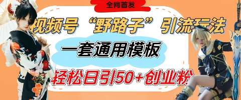 视频号“野路子”玩法，评论区疯狂截流，一套模板单日单号引流50+创业粉-泰戈创艺资源库