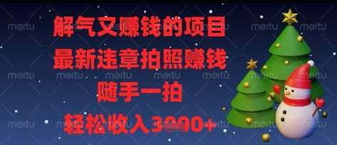 解气又挣钱的项目，最新违章拍照挣钱，随手一拍，轻松收入多张【揭秘】-泰戈创艺资源库