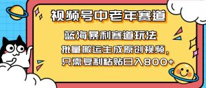 （14314期）2025视频号中老年短视频蓝海暴利风口！复制粘贴搬运视频单日赚800+，无…-泰戈创艺资源库