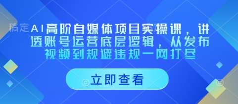 AI高阶自媒体项目实操课，讲透账号运营底层逻辑，从发布视频到规避违规一网打尽-泰戈创艺资源库