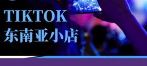 Tiktok东南亚跨境小店运营班,一门专业的TK小店运营培训课-泰戈创艺资源库