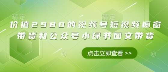 价值2980的视频号短视频橱窗带货和公众号小绿书图文带货-泰戈创艺资源库