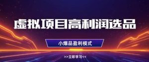 虚拟项目高利润选品方法,做好单店利润1W+,可多店倍增利润-泰戈创艺资源库