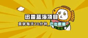 迅雷浏览器项目_真就每天忙活10分钟,完整拆解+热点把控(超详细拆解教程)-泰戈创艺资源库