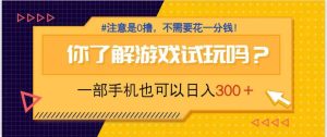 （14440期）游戏试玩，一部手机就可以日入300+，纯0撸项目，不需要花任何一分钱，…-泰戈创艺资源库
