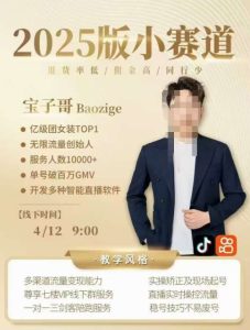 宝子哥4月12-13号线下课,全程录音【带字幕】和PPT,本期重点短视频打法摆脱缺号困扰-泰戈创艺资源库