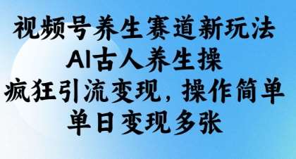 视频号养生赛道新玩法，AI古人养生操，疯狂引流变现，操作简单，单日变现多张-泰戈创艺资源库