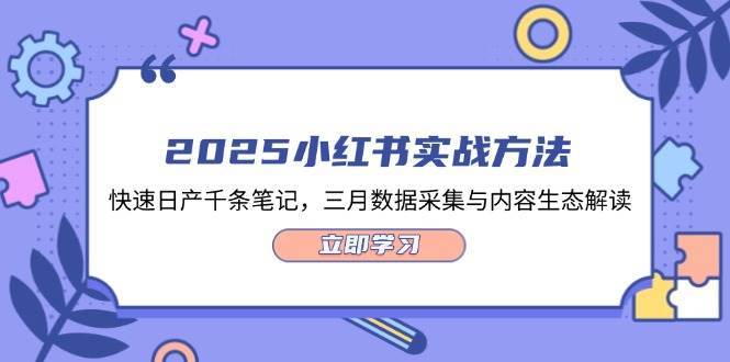 2025小红书实战方法，快速日产千条笔记，三月数据采集与内容生态解读-泰戈创艺资源库