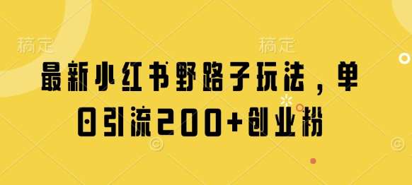 最新小红书野路子玩法，单日引流200+创业粉-泰戈创艺资源库