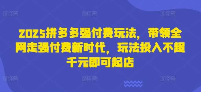 2025拼多多强付费玩法，带领全网走强付费新时代，玩法投入不超千元即可起店-泰戈创艺资源库