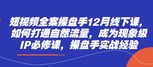 短视频全案操盘手12月线下课，如何打通自然流量，成为现象级IP必修课，操盘手实战经验-泰戈创艺资源库