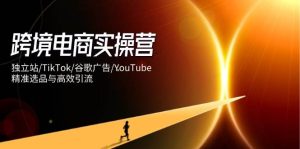 （14419期）跨境电商实操营：独立站/TikTok/谷歌广告/YouTube，精准选品与高效引流-泰戈创艺资源库