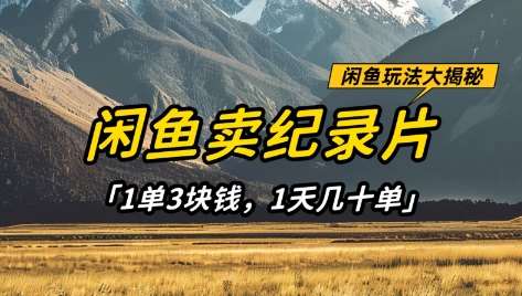 闲鱼卖纪录片1单3块钱，1天几十单，项目稳定有潜力-泰戈创艺资源库