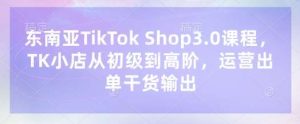 东南亚TikTok Shop3.0课程,TK小店从初级到高阶,运营出单干货输出-泰戈创艺资源库