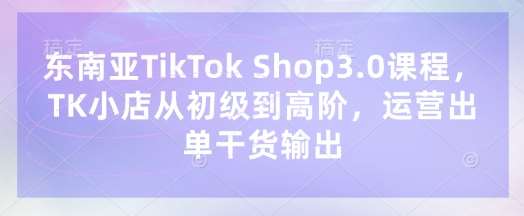 东南亚TikTok Shop3.0课程，TK小店​从初级到高阶，运营出单干货输出-泰戈创艺资源库