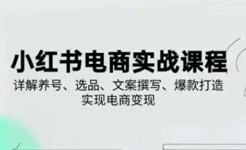 小红书从0-1实操课(2023-2025)，详解养号、选品、文案撰写、爆款打造实现电商变现-泰戈创艺资源库