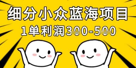 细分小众蓝海项目，一单利润3张，每月收入稳定过1w+-泰戈创艺资源库