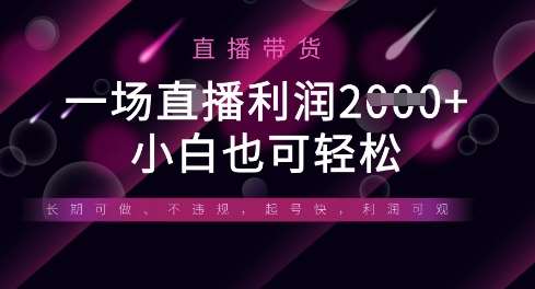 半无人直播带货，一场利润数张，适合所有平台玩法，小白也可轻松-泰戈创艺资源库
