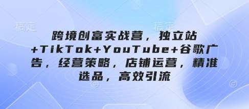 跨境创富实战营，独立站+TikTok+YouTube+谷歌广告，经营策略，店铺运营，精准选品，高效引流-泰戈创艺资源库