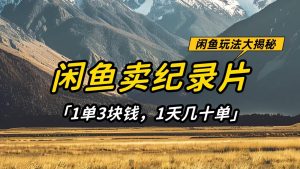 闲鱼卖纪录片，简单又赚钱的小项目，1单3块钱  1天几十单-泰戈创艺资源库