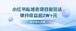 小红书私域项目新玩法,单月变现过W+-泰戈创艺资源库